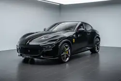 Ferrari Purosangue FULL CARBON/FULL PPF/PAINTED SHIELDS
