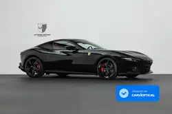 Ferrari Amalfi Amalfi Passenger/Daytona/Carbon-LED/360
