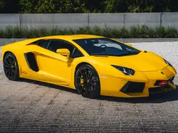 Lamborghini Aventador LP 700-4 / New Giallo Orion / Carbon / 21"